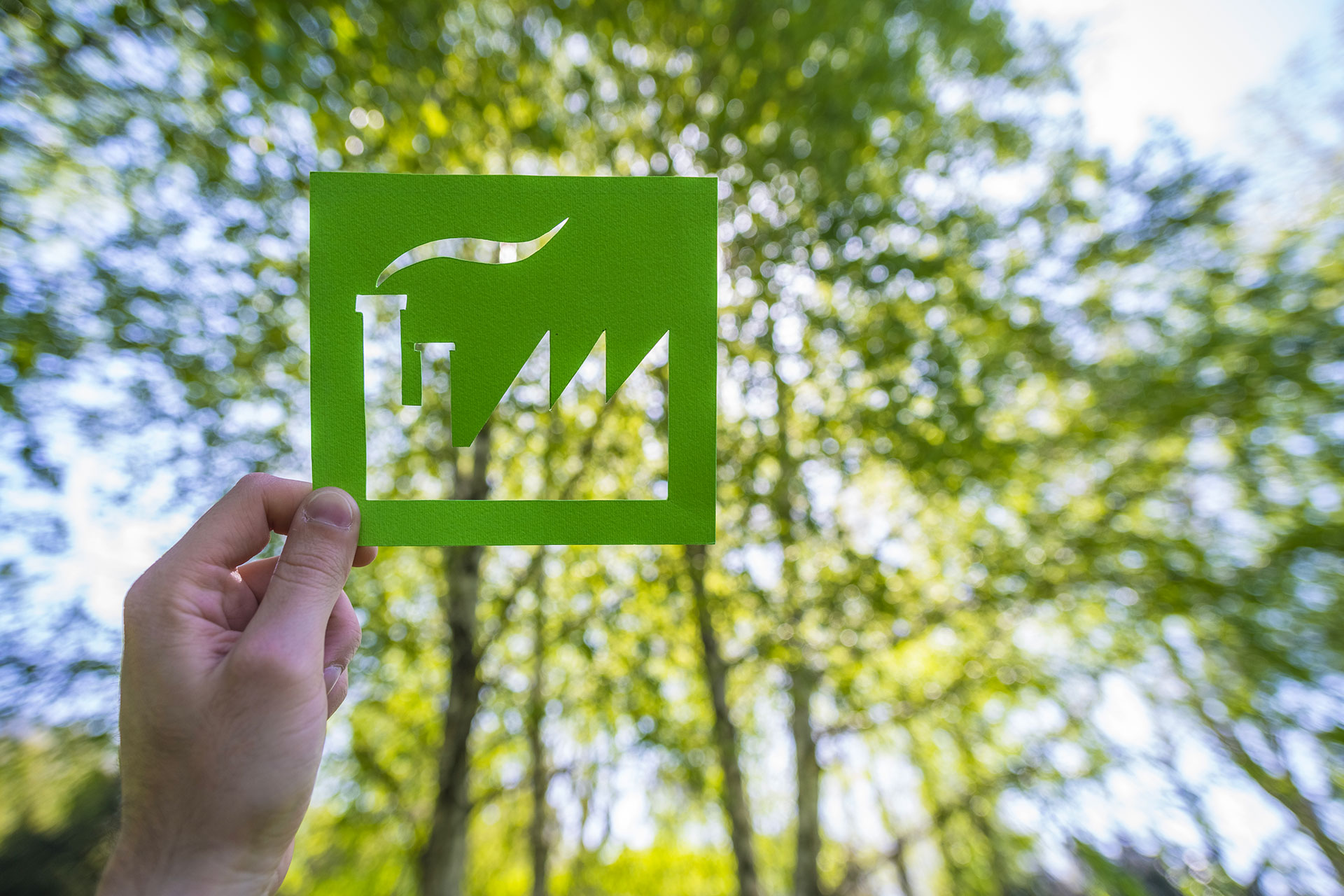 Perché la formazione sulla sostenibilità è una scelta strategica per le aziende