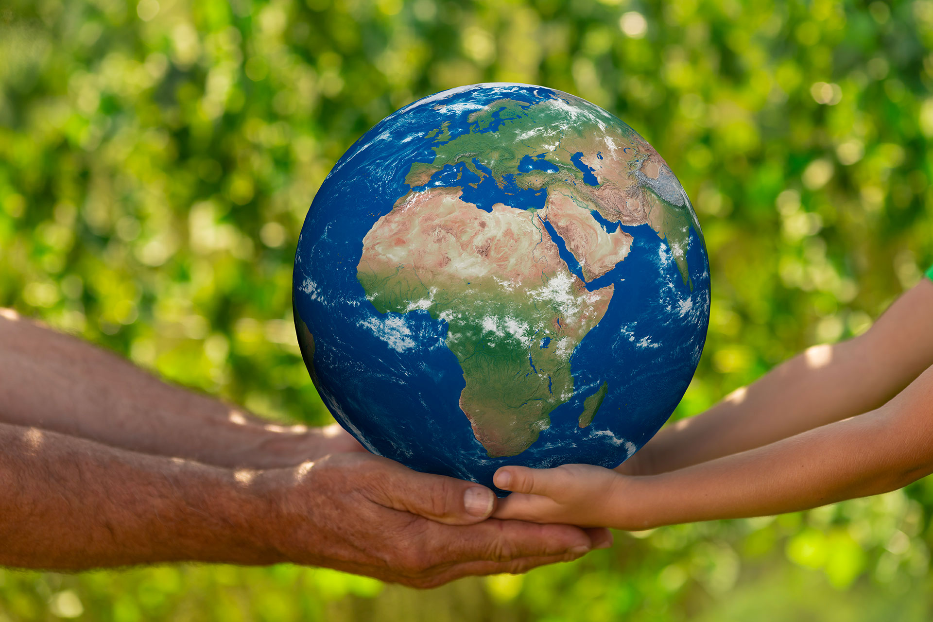 Compensazione delle Emissioni di CO₂: come procedere nel modo giusto