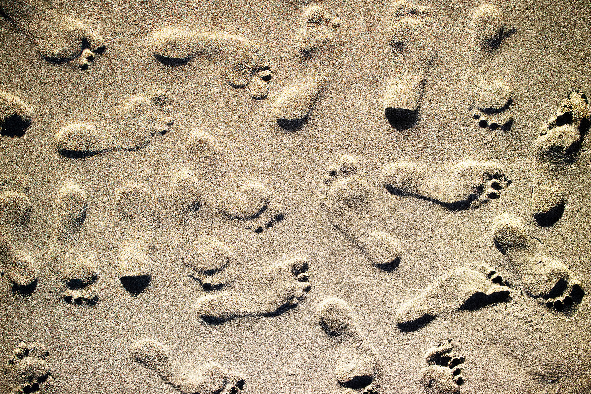 Carbon Footprint: Comprendere e Ridurre l’Impatto Ambientale